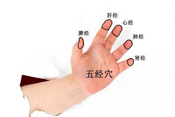 Wu Jing Points in Pediatric Massage