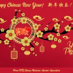 Happy Chinese New Year 2019