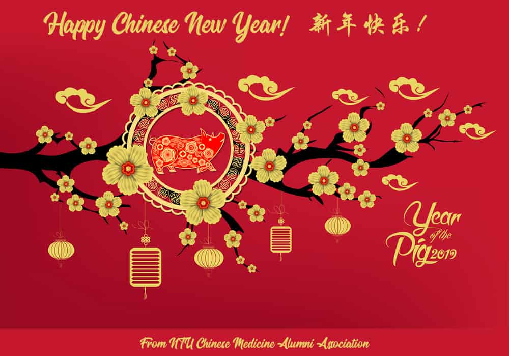 Happy Chinese New Year 2019